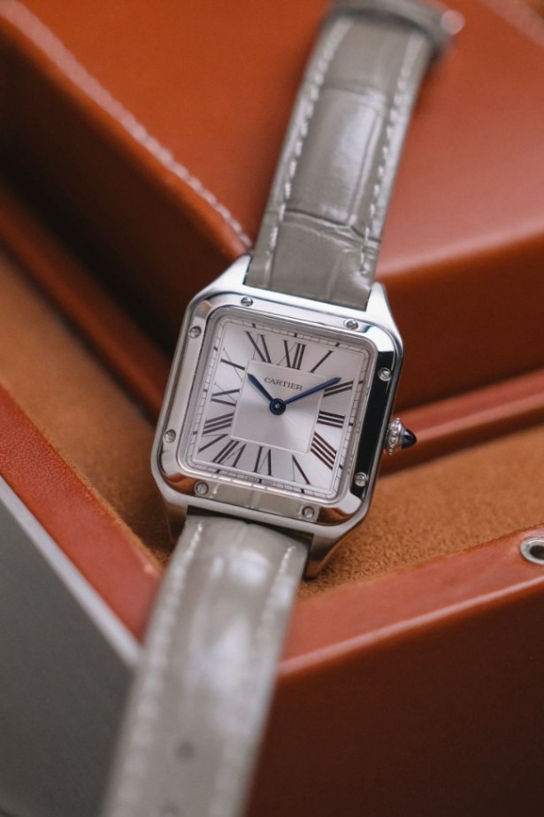 Cartier Santos Dumont Small Model - Image 3