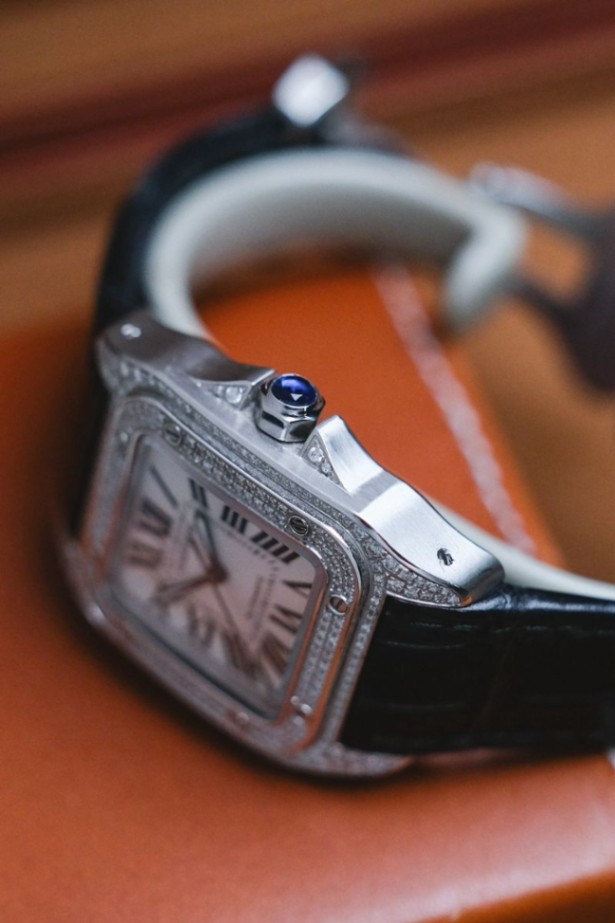 Cartier Santos 100 Medium Diamond - Image 2