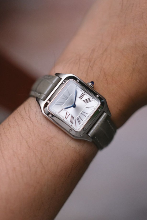 Cartier Santos Dumont Small Model - Image 4