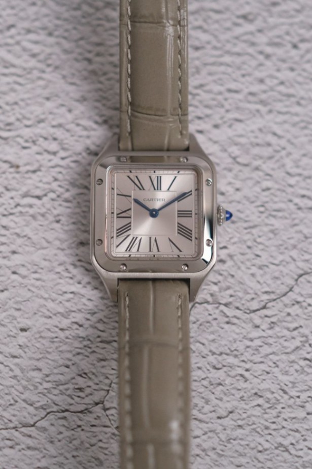Cartier Santos Dumont Small Model