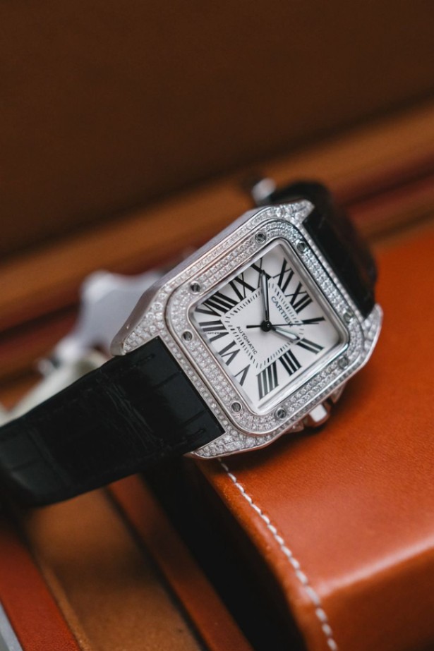 Cartier Santos 100 Medium Diamond - Image 5