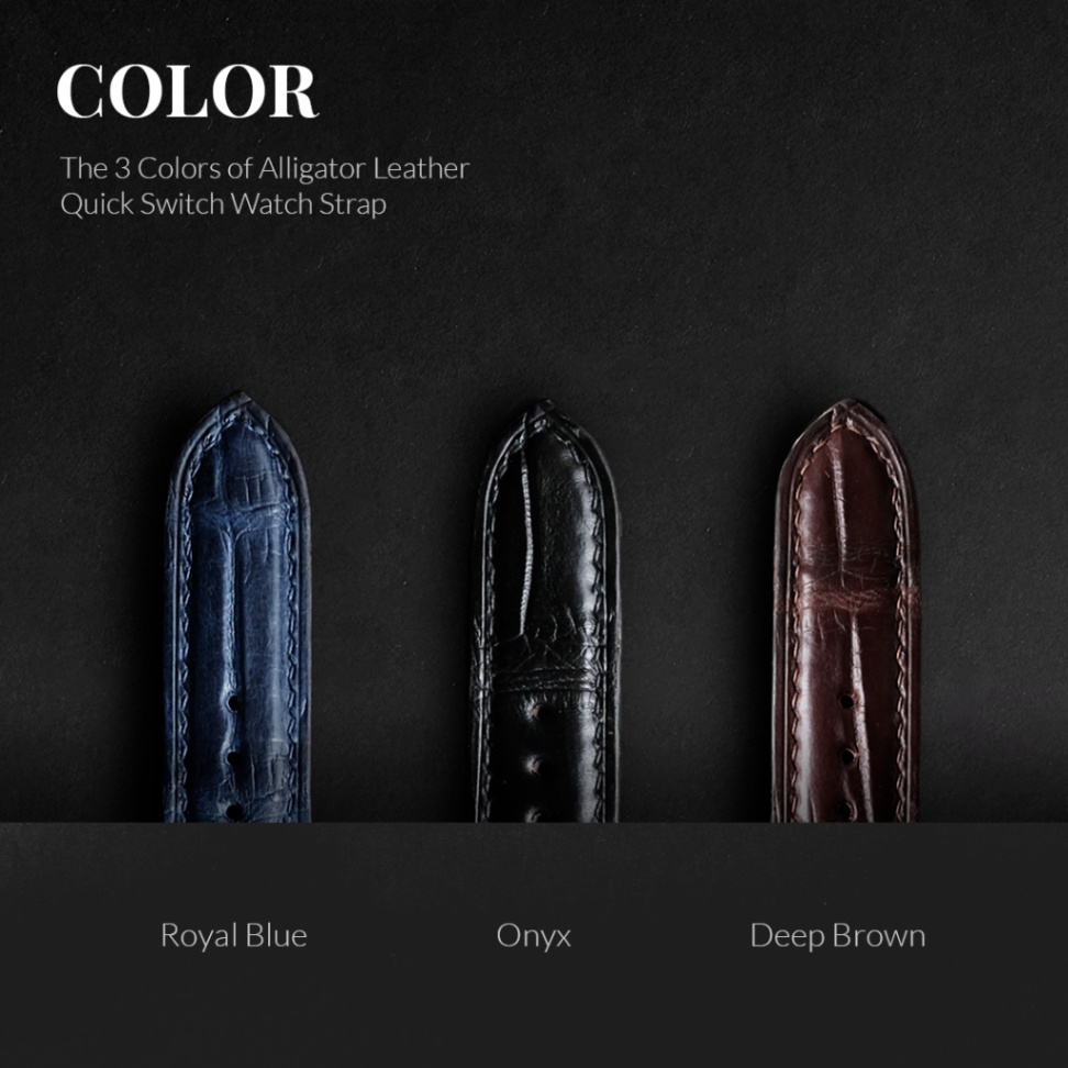 DOM Genuine Alligator Leather Watch Strap | สายนาฬิกาหนังจระเข้แท้ พร้อมระบบ QuickSwitch | 18mm 20mm 22mm - Image 3