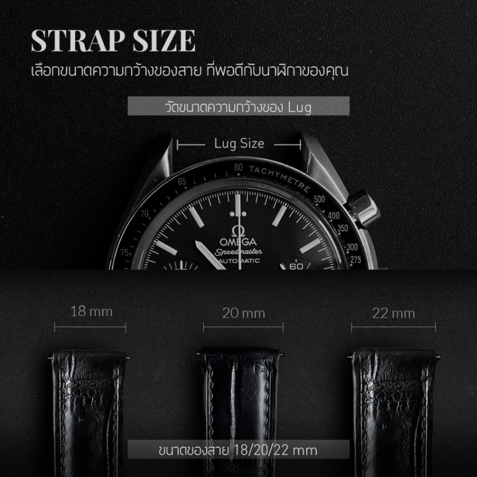DOM Genuine Alligator Leather Watch Strap | สายนาฬิกาหนังจระเข้แท้ พร้อมระบบ QuickSwitch | 18mm 20mm 22mm - Image 4
